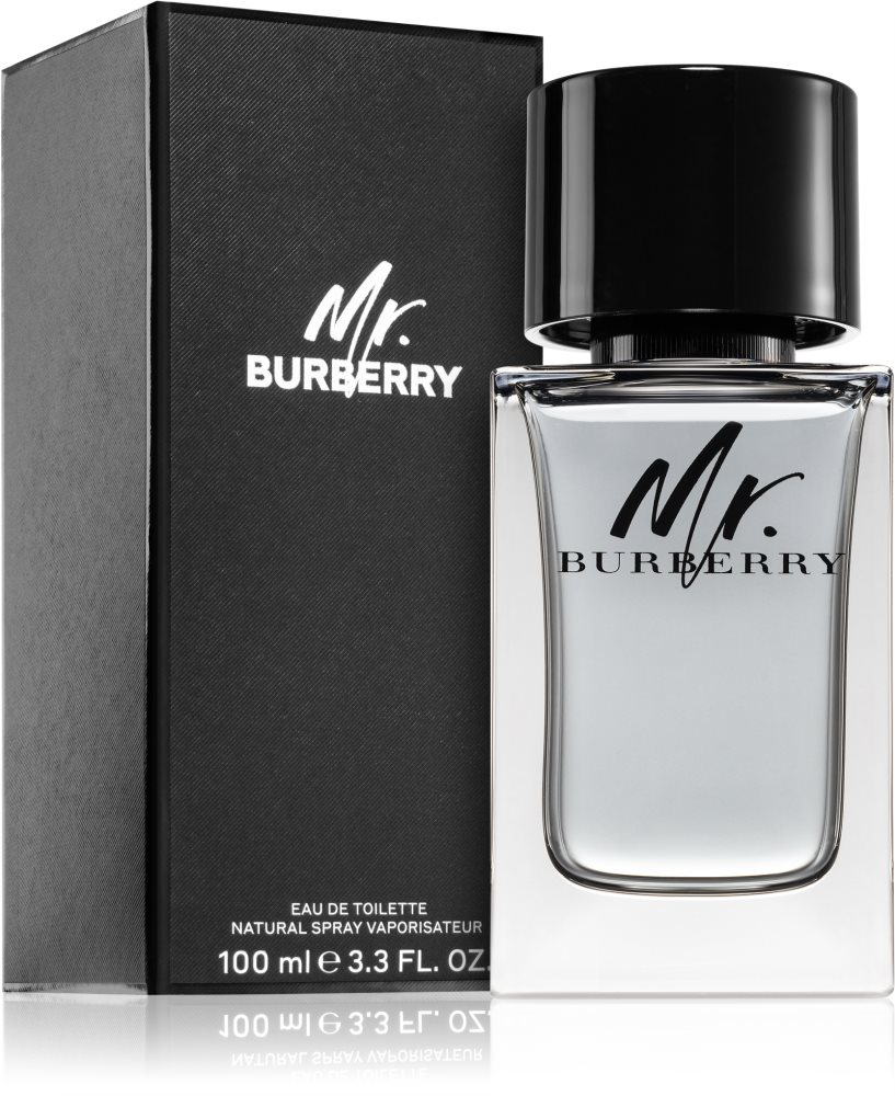 Burberry Mr. Burberry Eau de Toilette 100ml Eau de Toilette Burberry